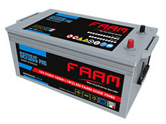 Starter batteries FAAM